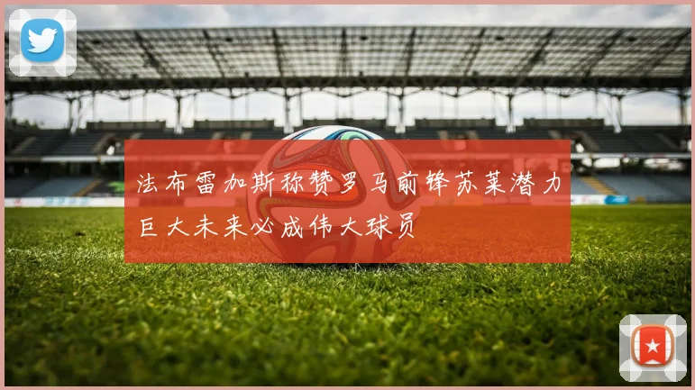 法布雷加斯称赞罗马前锋苏莱潜力巨大未来必成伟大球员