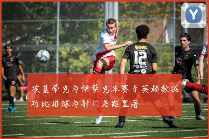 埃基蒂克与伊萨克本赛季英超数据对比进球与射门差距显著