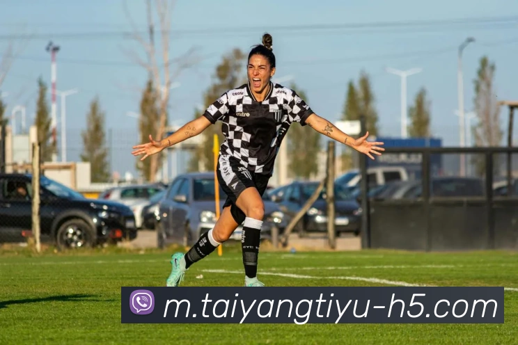 App Interface Preview